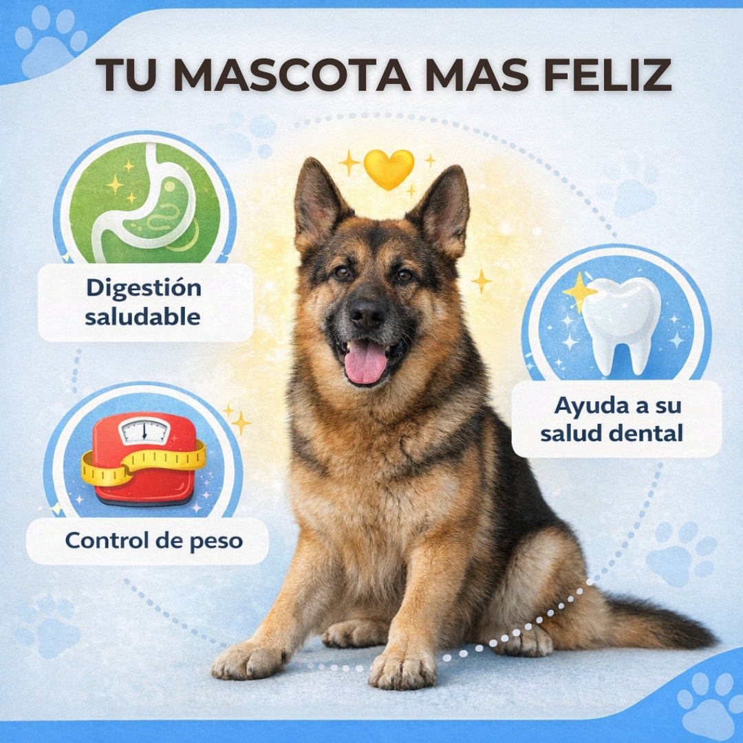 Bowl Calmante Canino - Reduce Ansiedad - Perros Tranquilos en Minutos