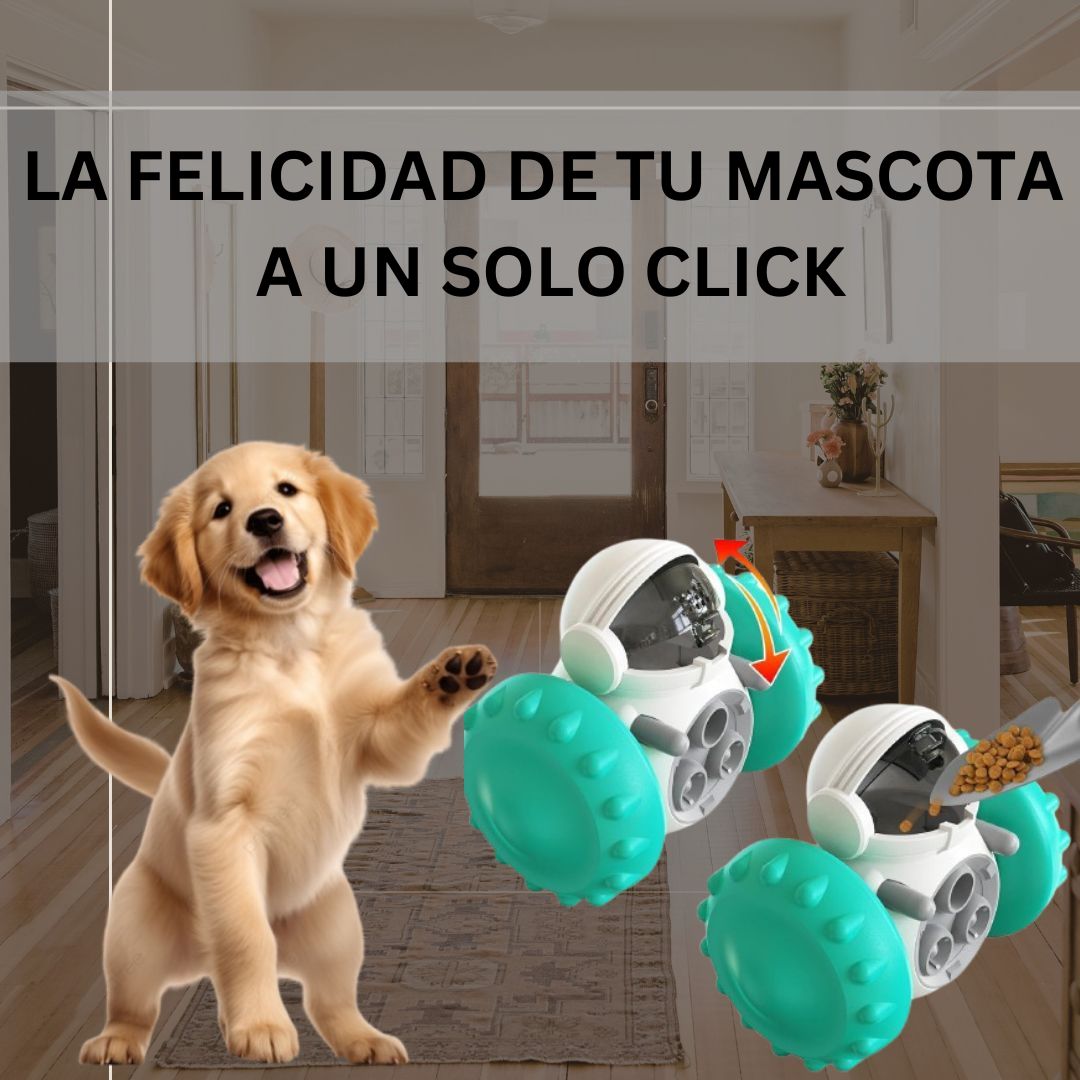 Cámara De Vigilancia + Dispensador de Comida de Mascota