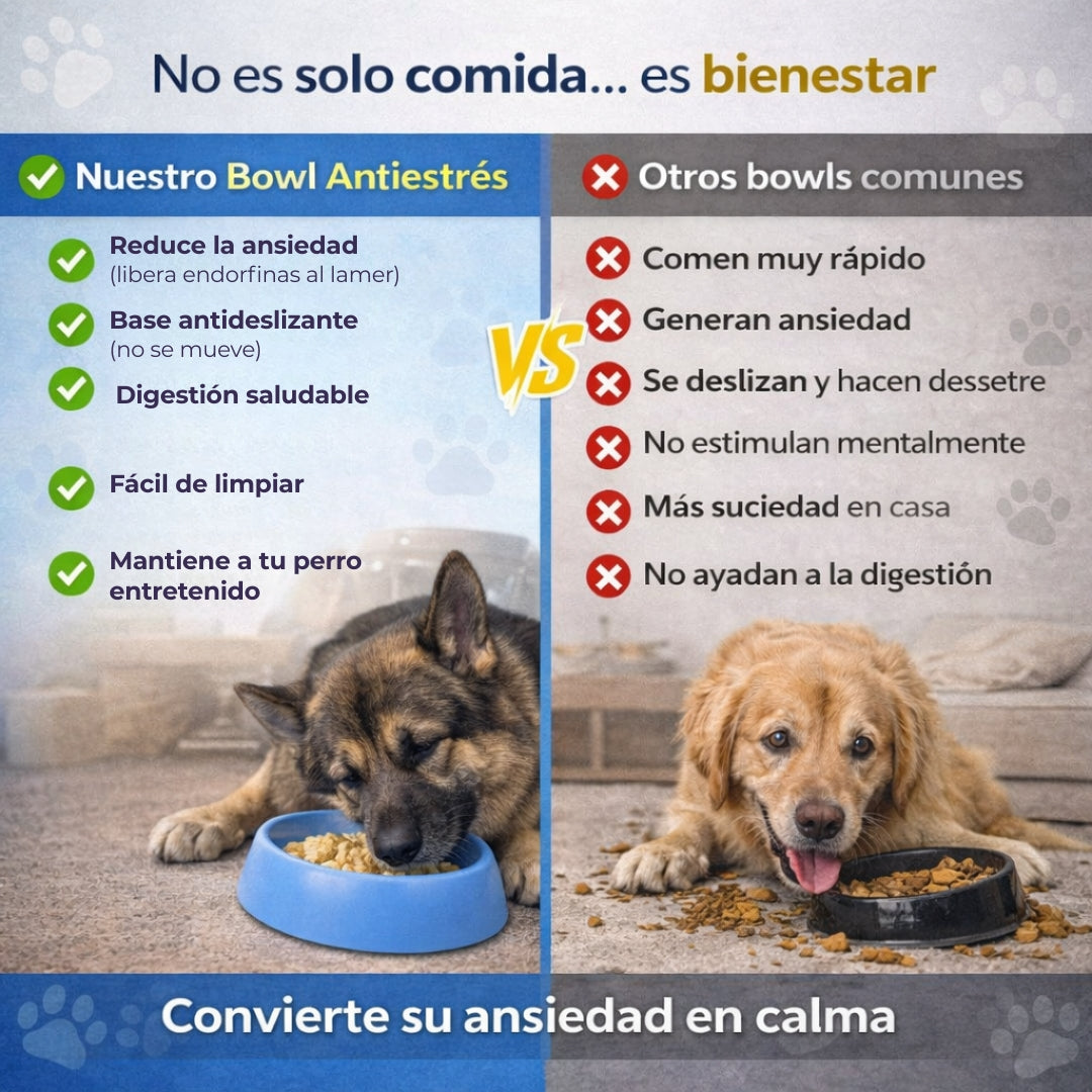 Bowl Calmante Canino - Reduce Ansiedad - Perros Tranquilos en Minutos