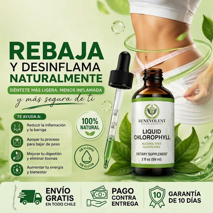 CLOROFILA BENEVOLENT - Rebaja y Desinflama Naturalmente - Frescura y practicidad para tu rutina diaria