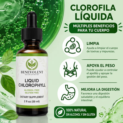 CLOROFILA BENEVOLENT - Rebaja y Desinflama Naturalmente - Frescura y practicidad para tu rutina diaria