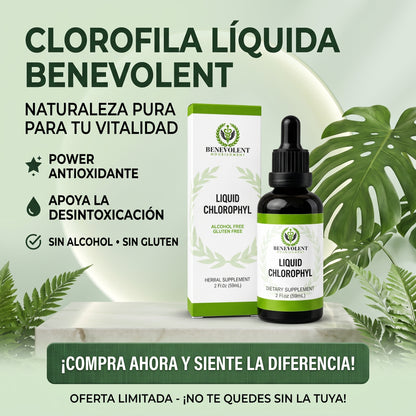 CLOROFILA BENEVOLENT - Rebaja y Desinflama Naturalmente - Frescura y practicidad para tu rutina diaria