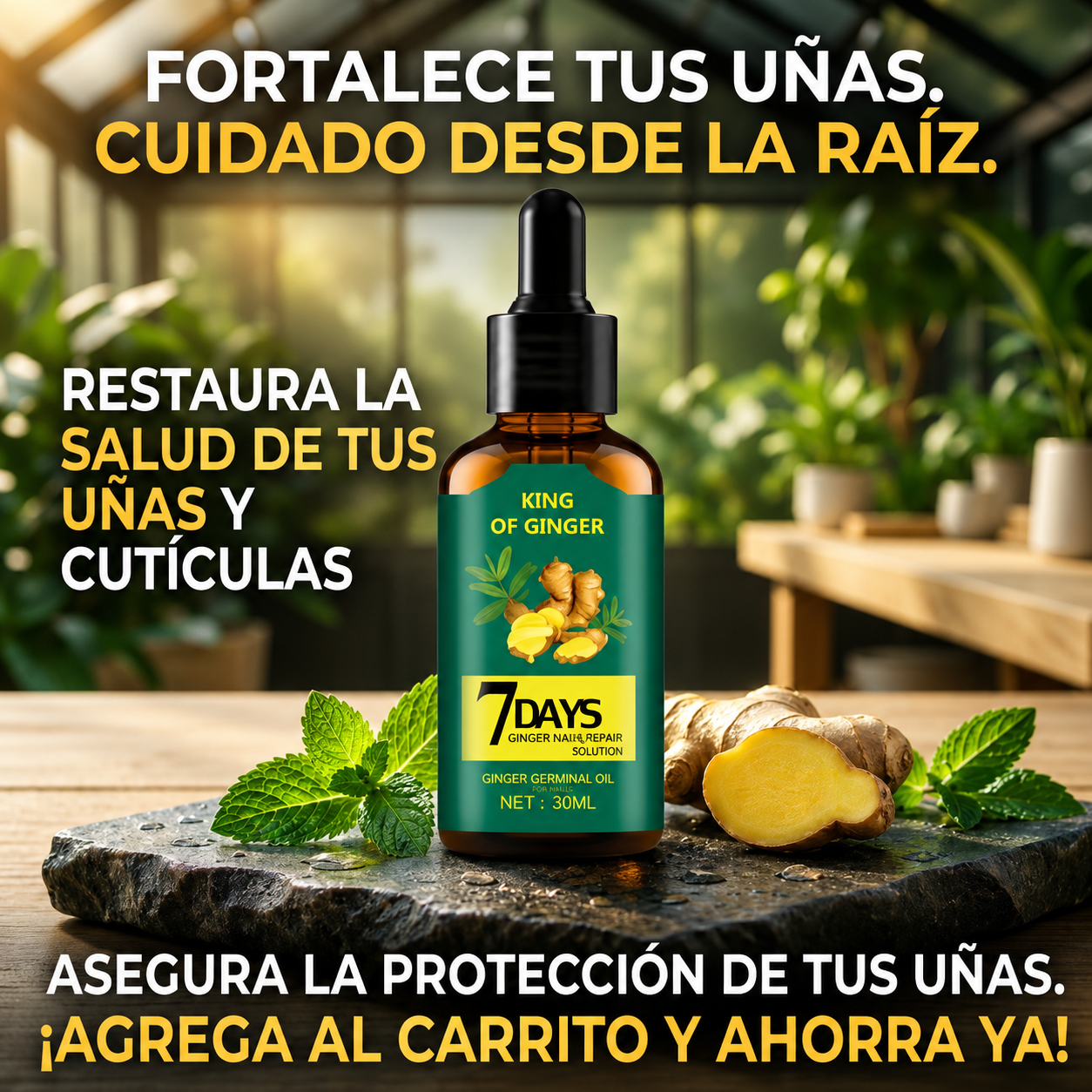 Aceite Antifúngico - Restauración de Uñas - Ayuda a recuperar la salud de tus pies