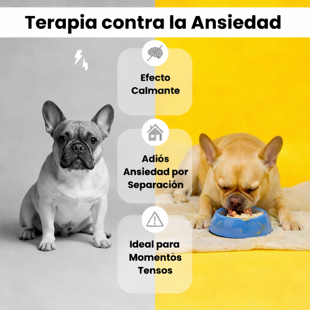 Bowl Calmante Canino - Reduce Ansiedad - Perros Tranquilos en Minutos
