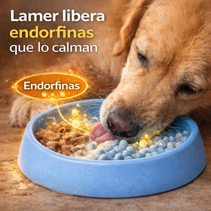 Bowl Calmante Canino - Reduce Ansiedad - Perros Tranquilos en Minutos