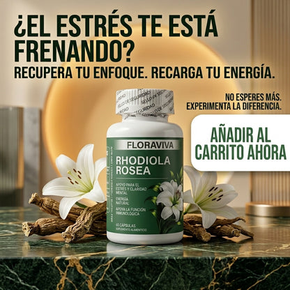 Rhodiola Rosea - Elimina Antojos Que Engordan y Quitan Energía Desde Primer Uso